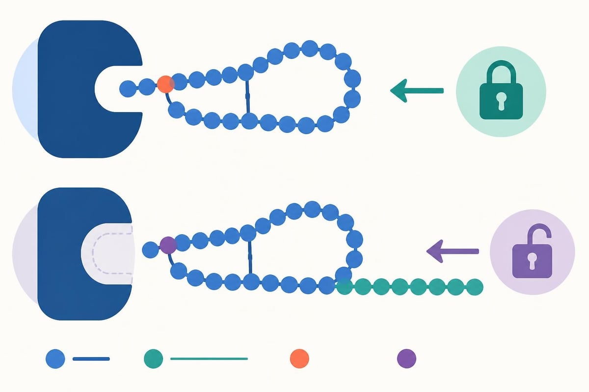 IGF LR3 molecular structure