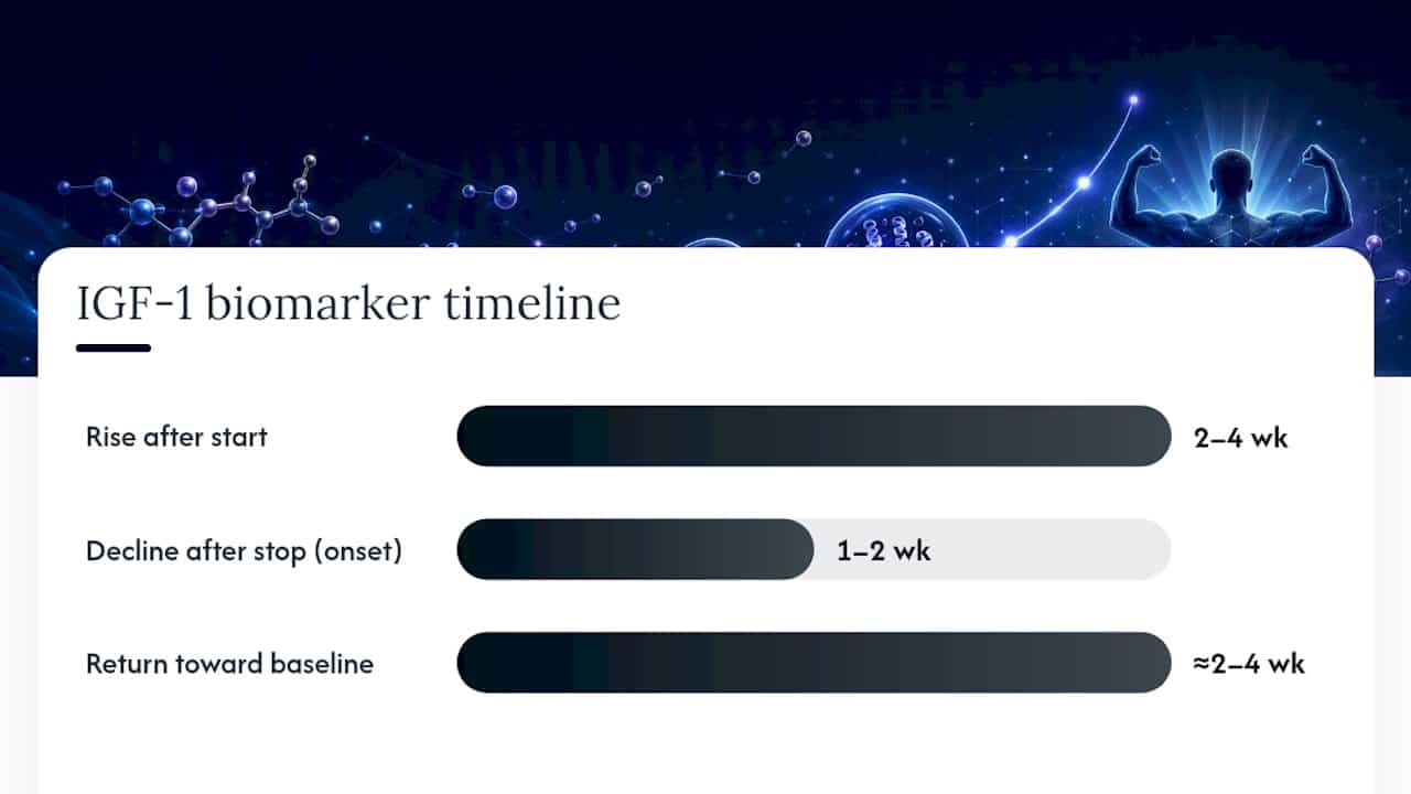 IGF-1 rise and decline timeline